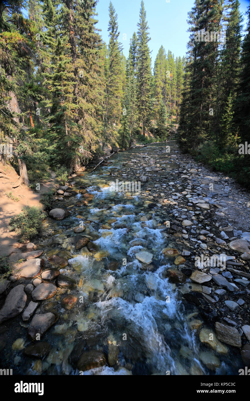 Johnston Creek, Johnston Canyon, Rocky Mountains, Banff National Park, Alberta, Kanada. Stockfoto