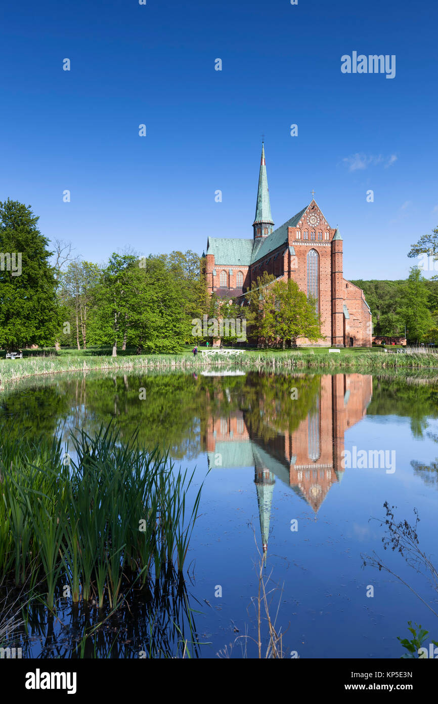 Doberan Münster Stockfoto