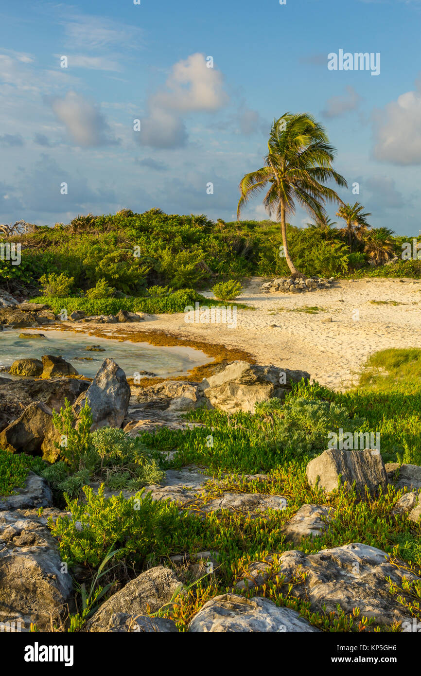 Einsamen Strand | Tulúm | Mexiko Stockfoto