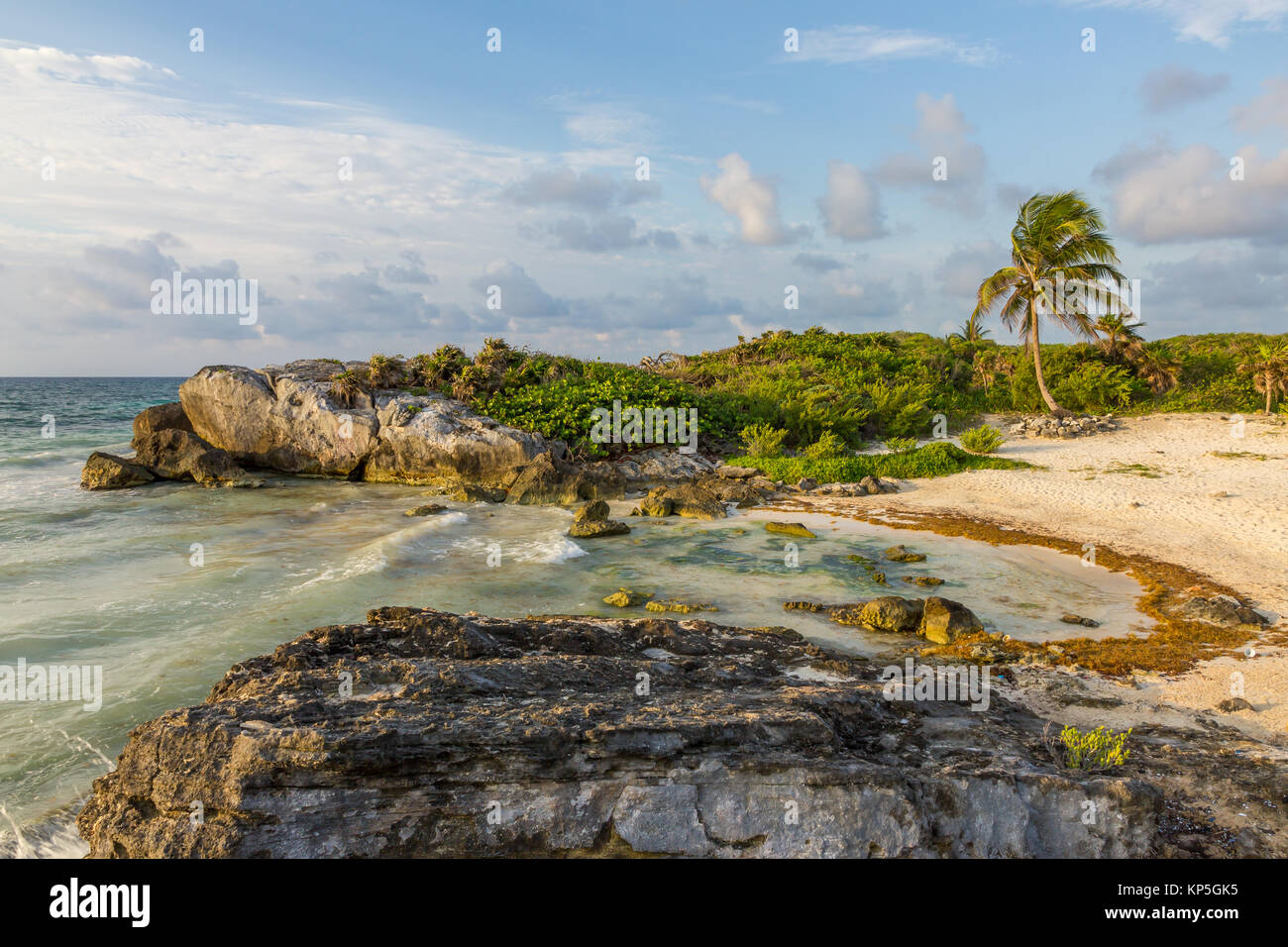 Einsamen Strand | Tulúm | Mexiko Stockfoto