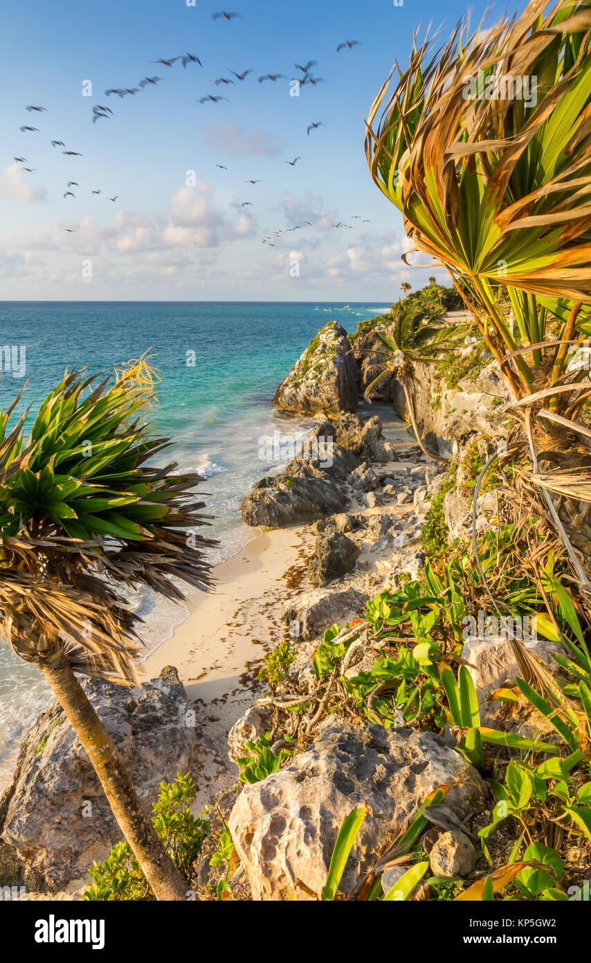 Strand bei Maya Ruinen | Tulúm | Mexiko Stockfoto