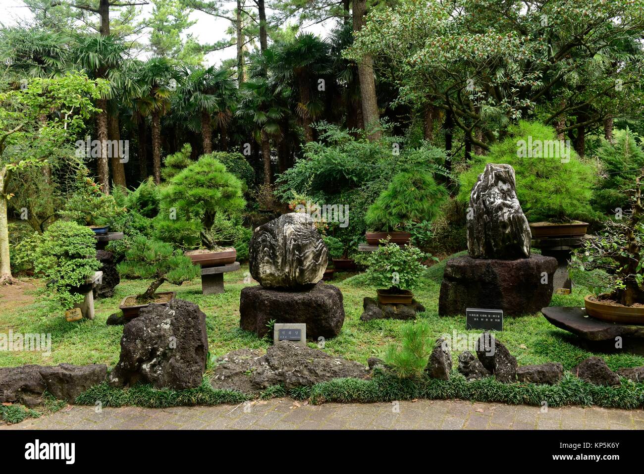 Yeomiji Botanischer Garten, Jeju Island, South Korea. Stockfoto