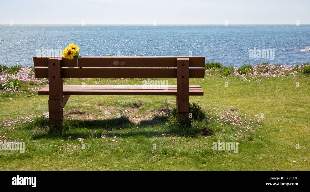 Leere Holzbank mit Blick auf den Ärmelkanal mit poignant Denkmal Blumen auf dem Küstenweg von Portland Bill in Dorset UK Stockfoto