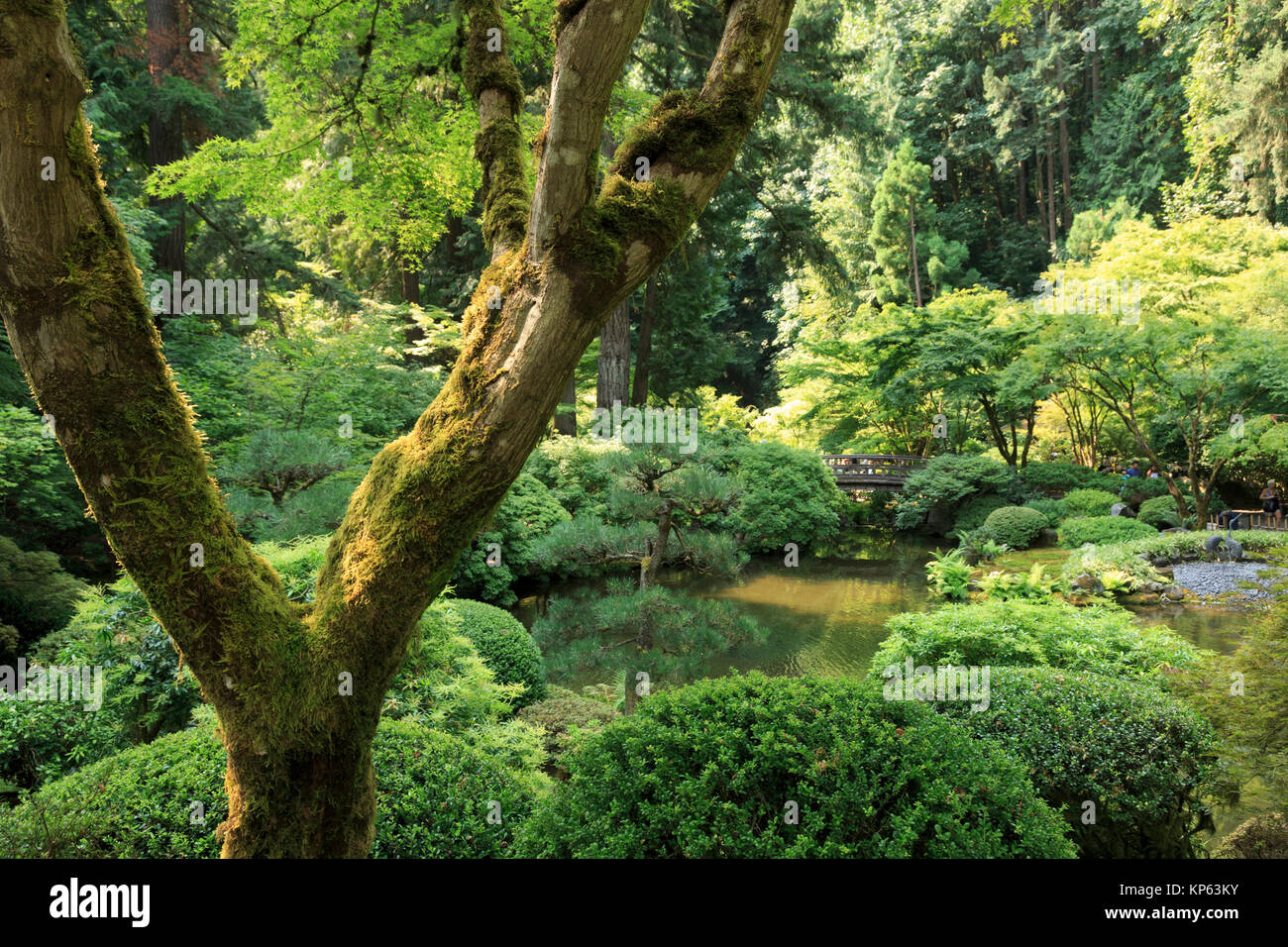 Portland Japanese Garden, Portland, Oregon, USA Stockfoto