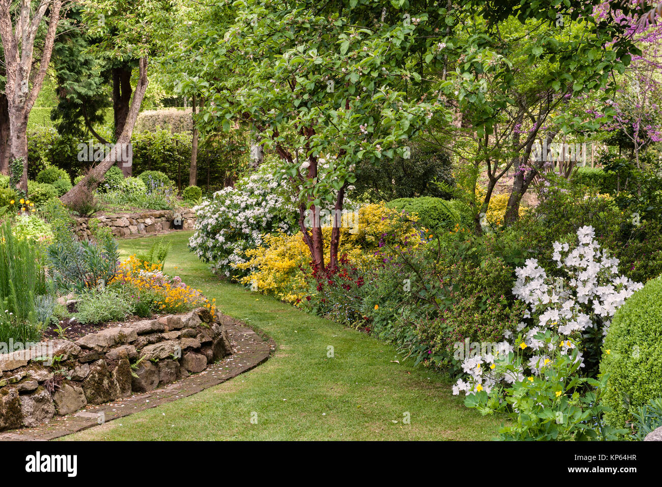 Marsh Garten der Villa, Par, Cornwall, Großbritannien Stockfoto