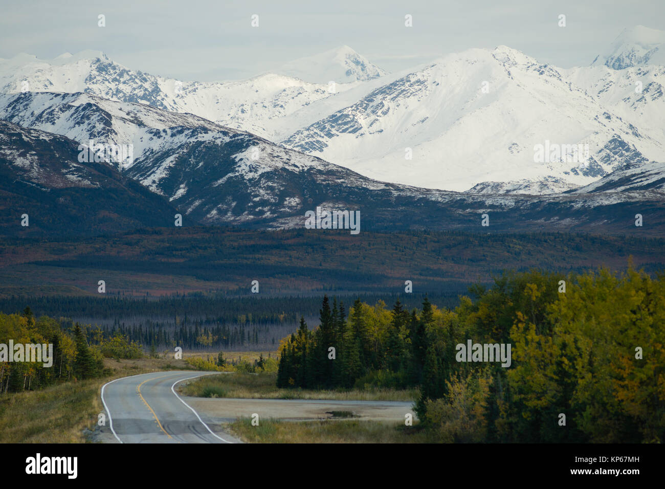 In der Straße Alaska Mountain Highway Transport Biegen Stockfoto