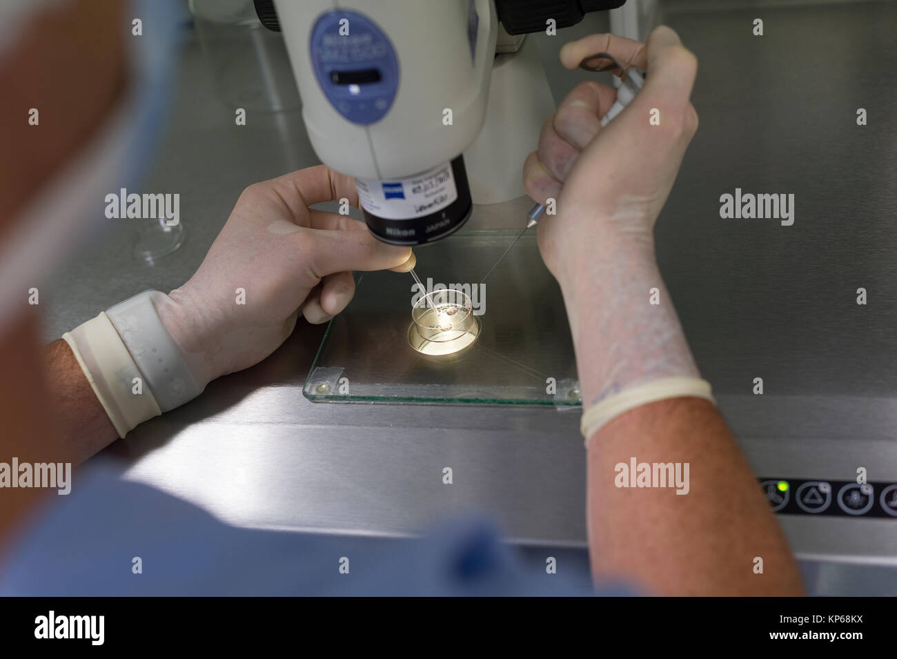 Technik der assistierten Reproduktion Stockfoto