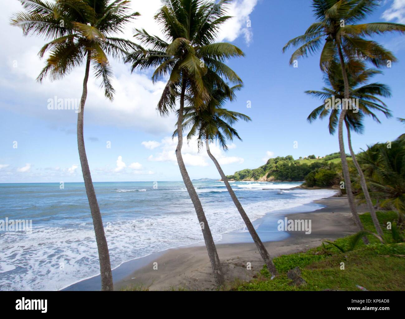 Ile de la Caravelle auf Martinique Stockfotografie Alamy