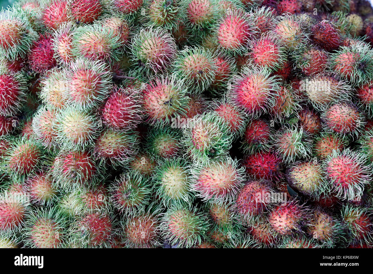 Rambutan zum Verkauf auf dem Markt. Kon Tum. Vietnam. Stockfoto