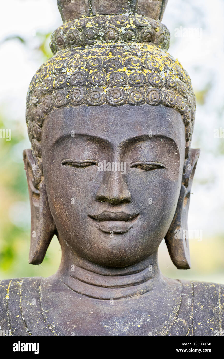 Buddha Kopf Garten Skulptur. Großbritannien Stockfoto