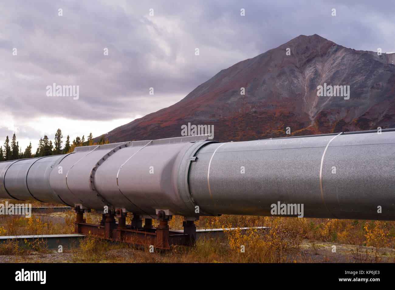 Öl Transport Alaska Pipeline schneidet über zerklüftete Berglandschaft Stockfoto