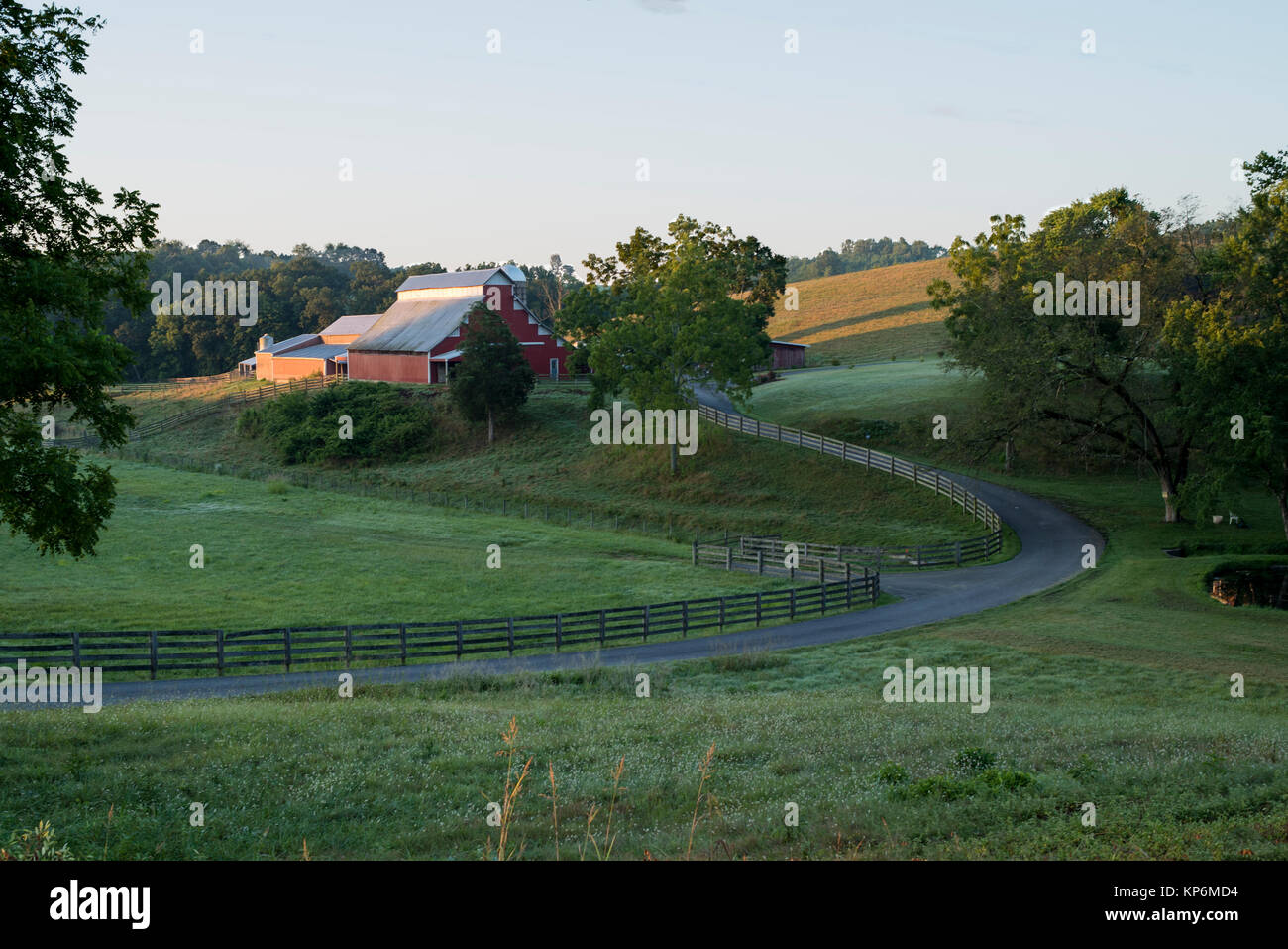 Board Zaun und Straße führt durch nasses Gras weiden zu rote Ställe in der Morgensonne Stockfoto