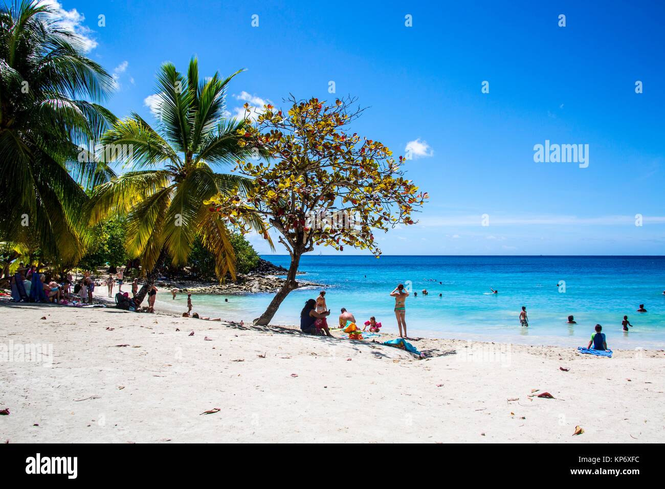 Paradise perfekten blauen Strände, mit Palmen und weißem Sand. Sie spiegeln die perfekten Paradies. Stockfoto
