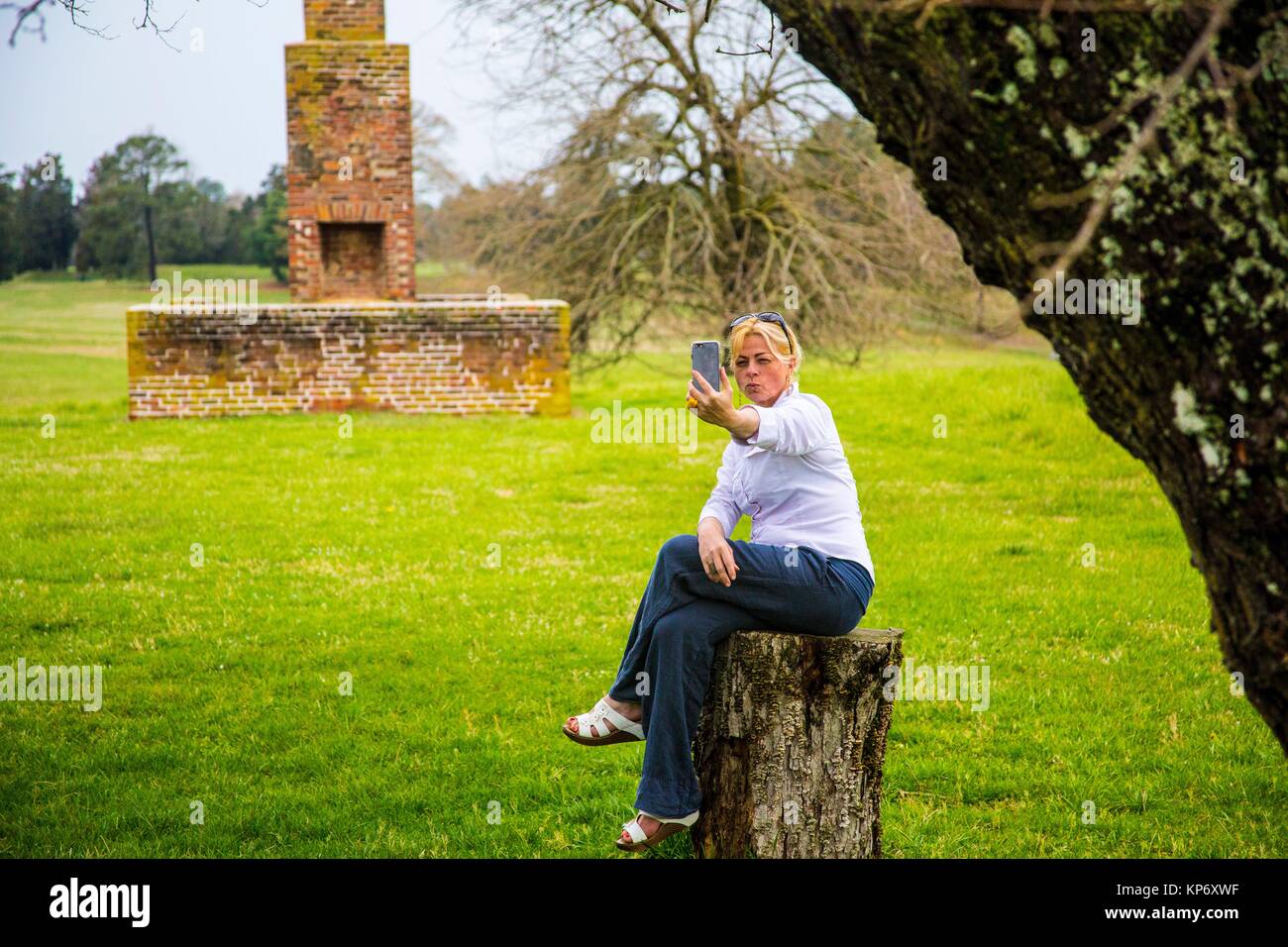 Wunderschöne kaukasischen blonde Frau in den 40ern, 45 eine selfie von sich küssen in der Mitte eines Feldes mit Kamin. Sie sitzt auf einem Baum. Stockfoto