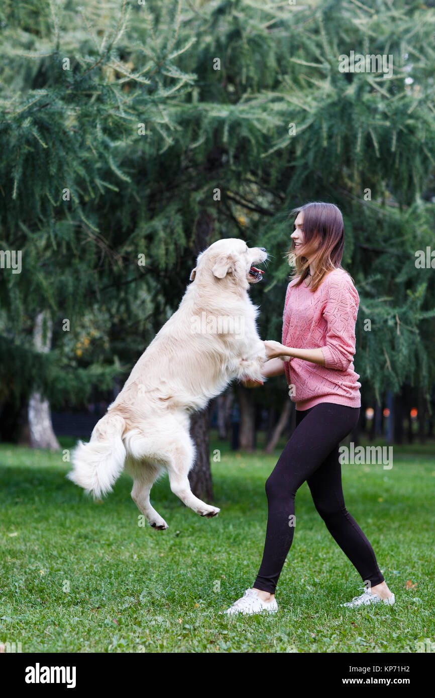 Hund Springt Stockfotos und -bilder Kaufen - Alamy