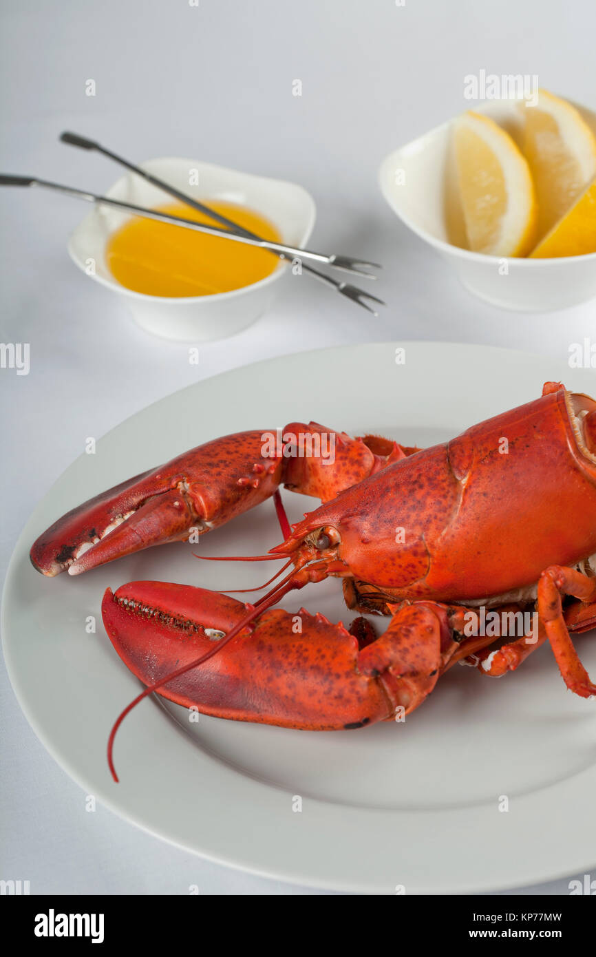Appetitlich lobster Dish Stockfoto