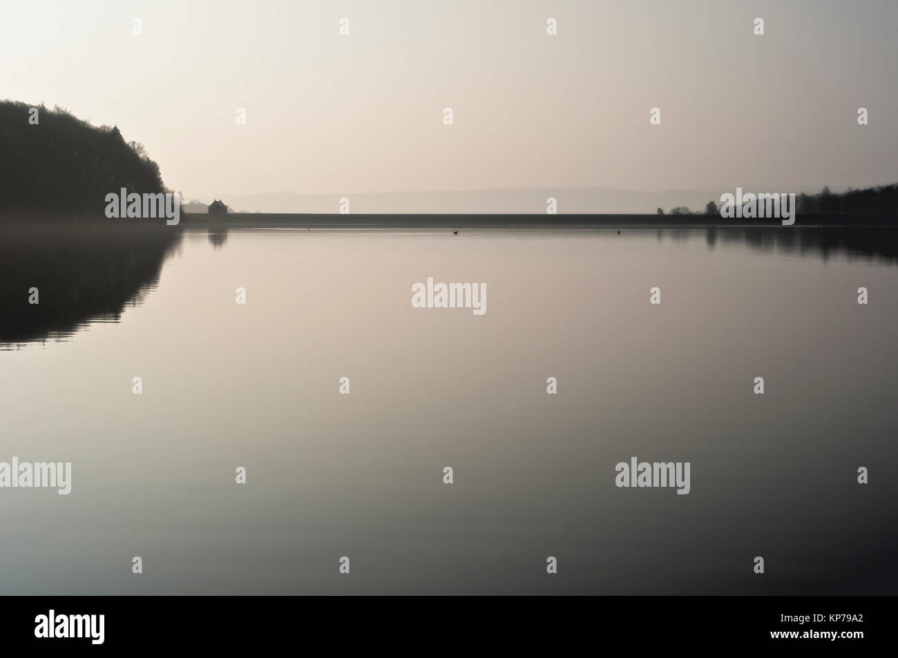 Tunstall Behälter eingehüllt in Nebel an einem Frühlingsmorgen, nicht weit von Wolsingham in gewohnt, County Durham gelegen. Stockfoto