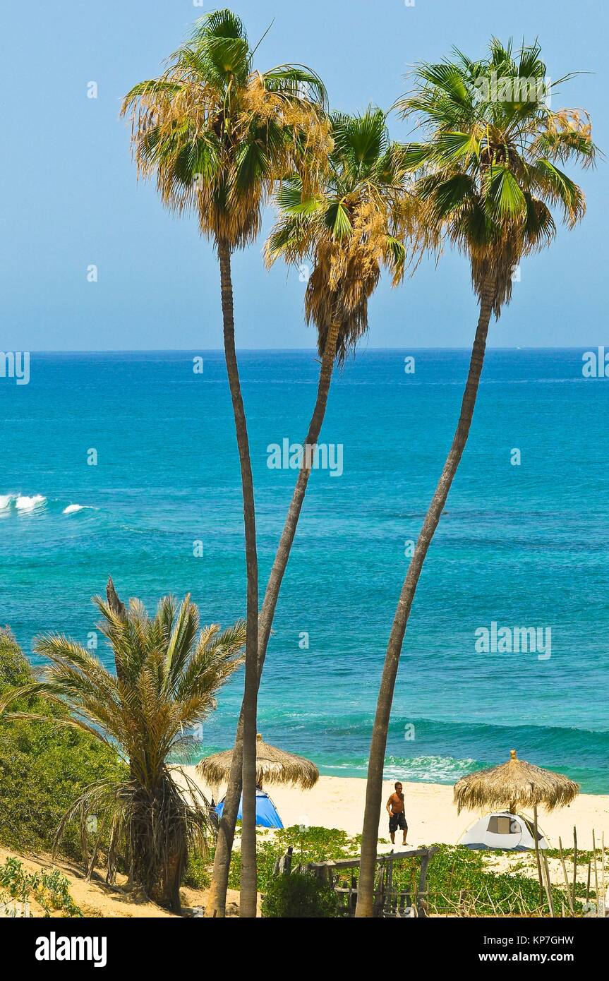 Cabo Pulmo, Golf von Kalifornien, Baja California, Mexiko, Nordamerika