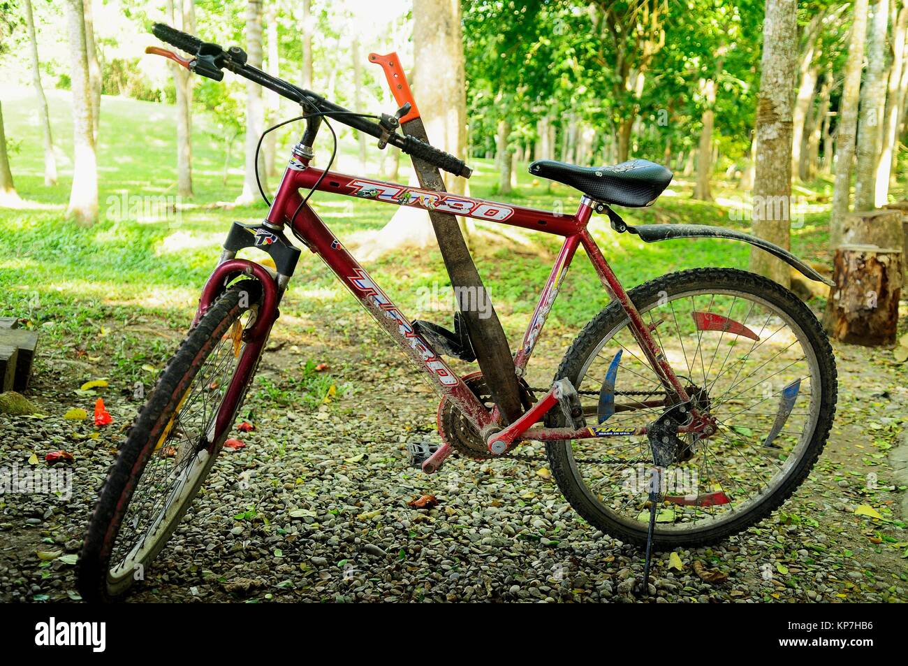 fahrrad mexiko