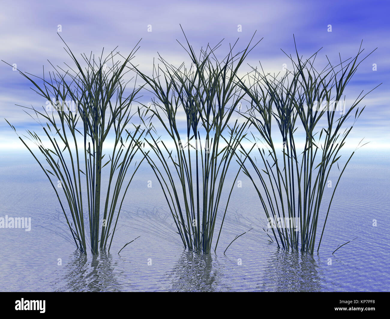 Landpflanzen im Wasser Stockfoto