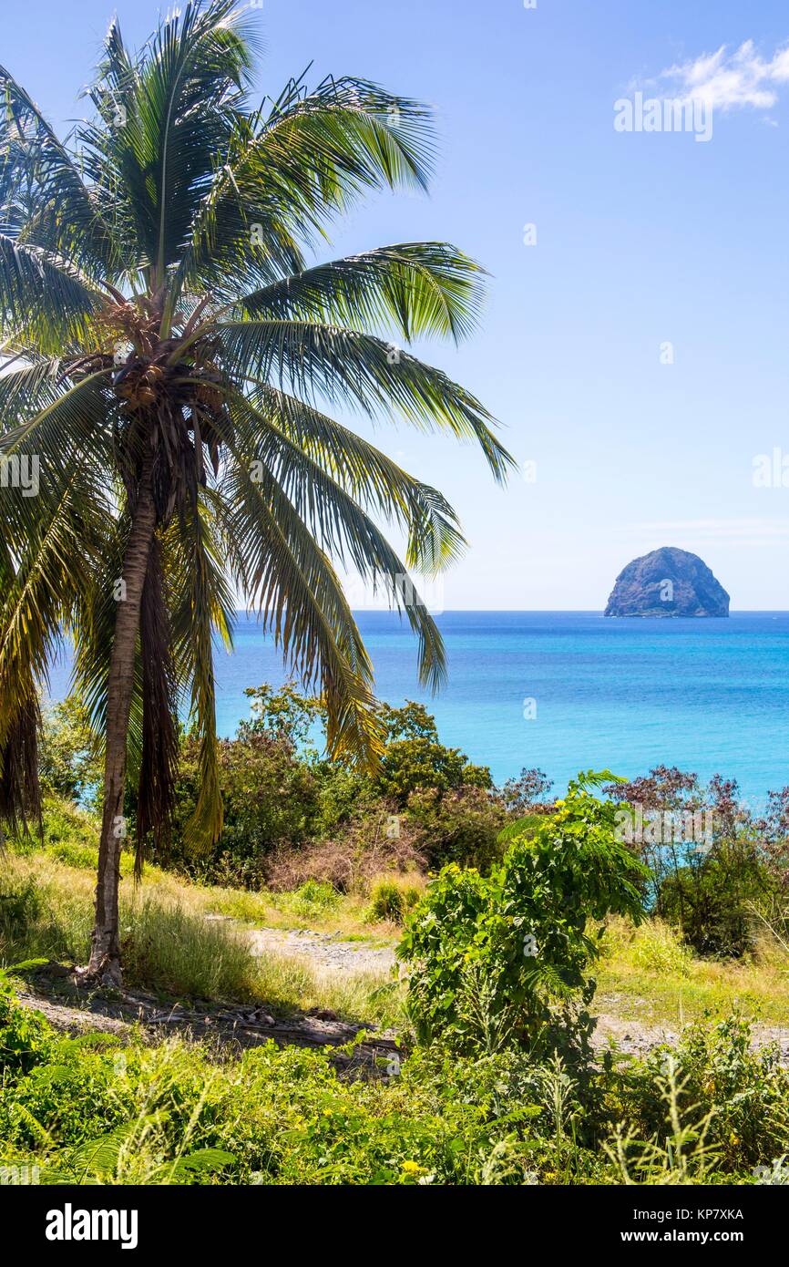 Schöne Szenerie am Strand entlang, an der Küste entlang, auf der Straße, die dazu führen, dass Le Diamant, in Martinique. Stockfoto