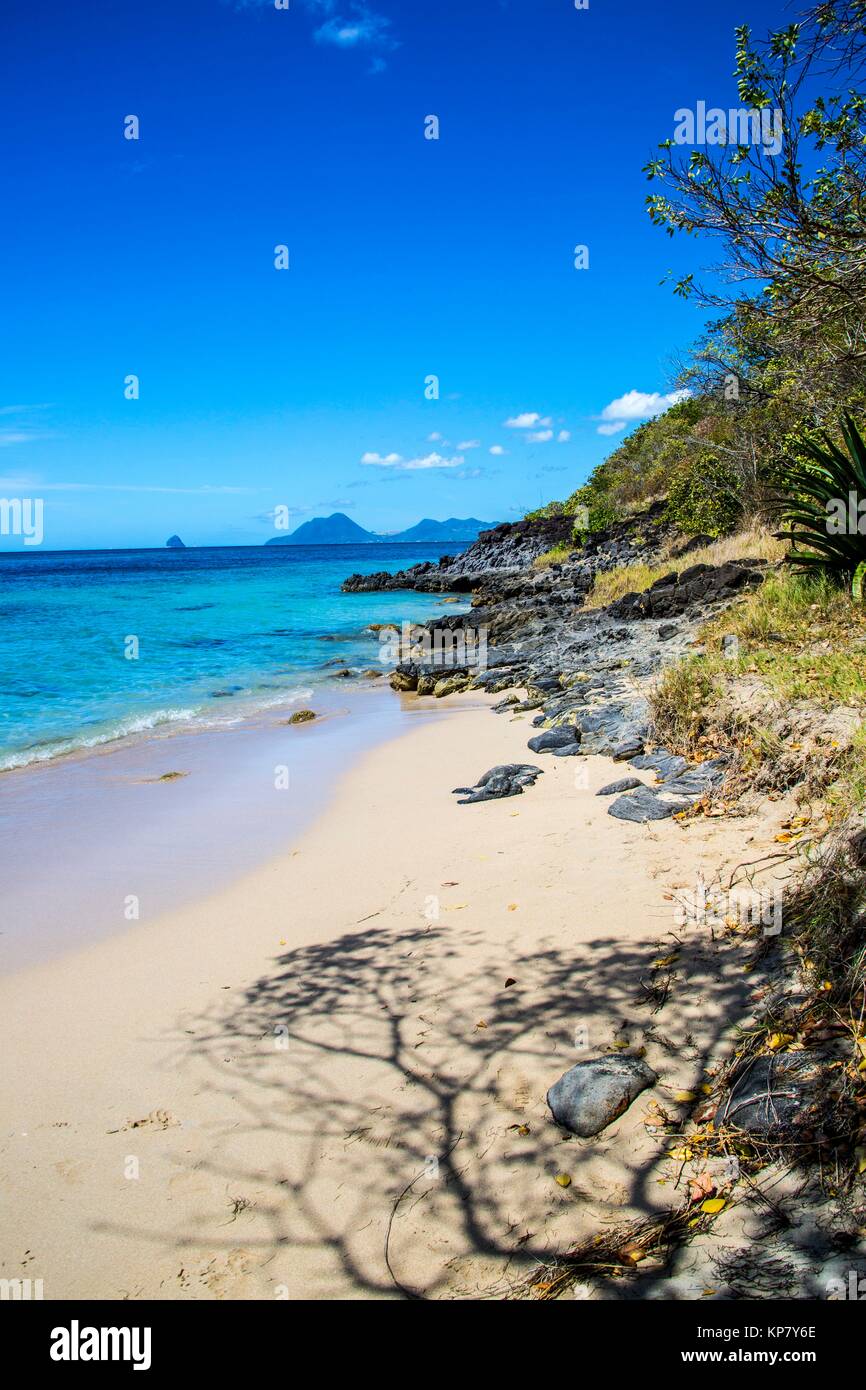Paradise perfekten blauen Strände, mit Palmen und weißem Sand. Sie spiegeln die perfekten Paradies. Stockfoto