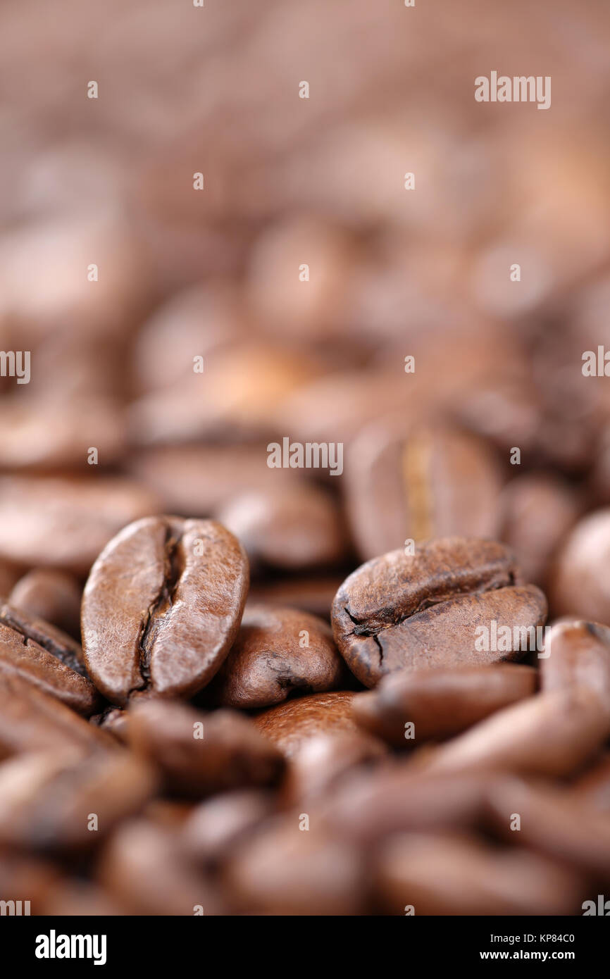 Kaffeebohnen Kaffeebohnen mit Text space copyspace Stockfoto
