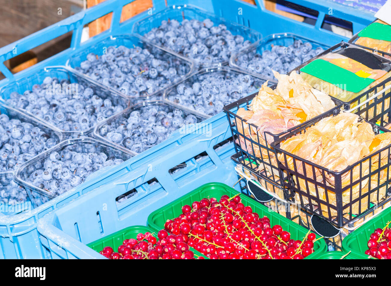 Johannisbeeren und Heidelbeeren in einem Markt. Stockfoto