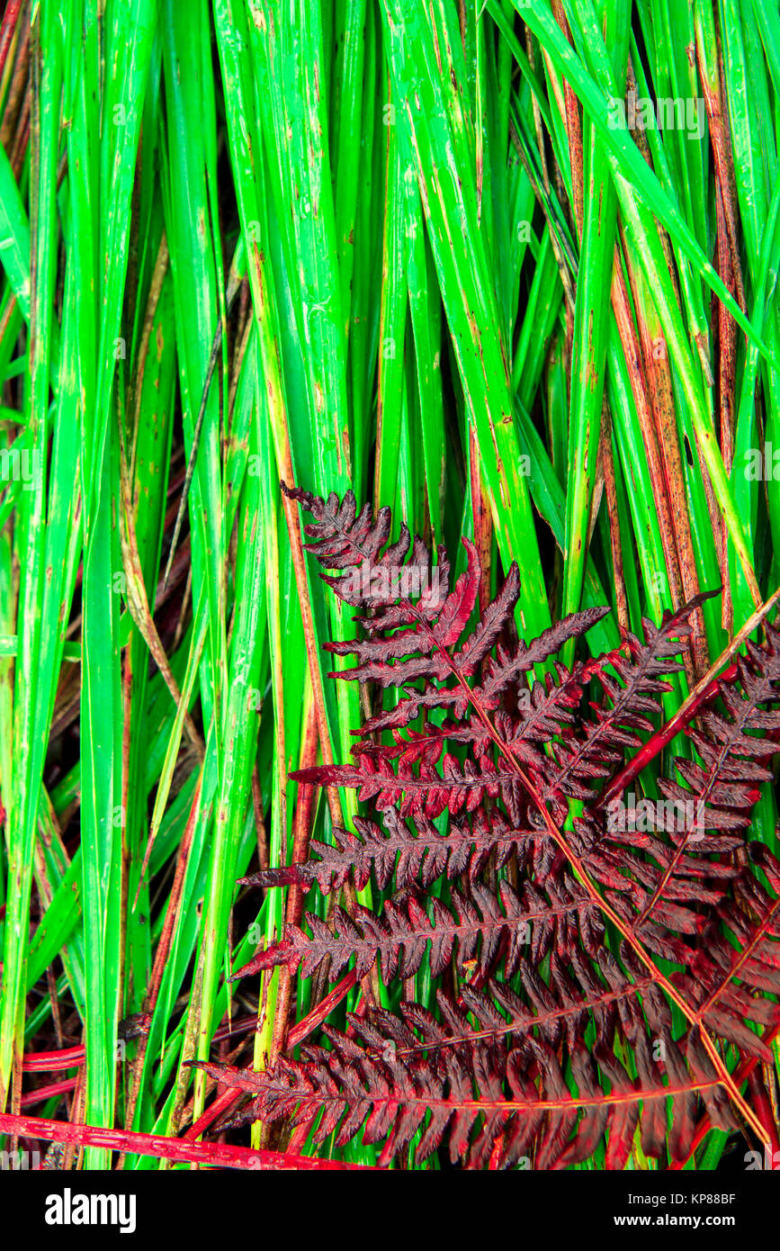 kunstpflanzen blumenkasten Kunstpflanzen | Knstlicher Blumenkasten Herbst/Winter - Larsson