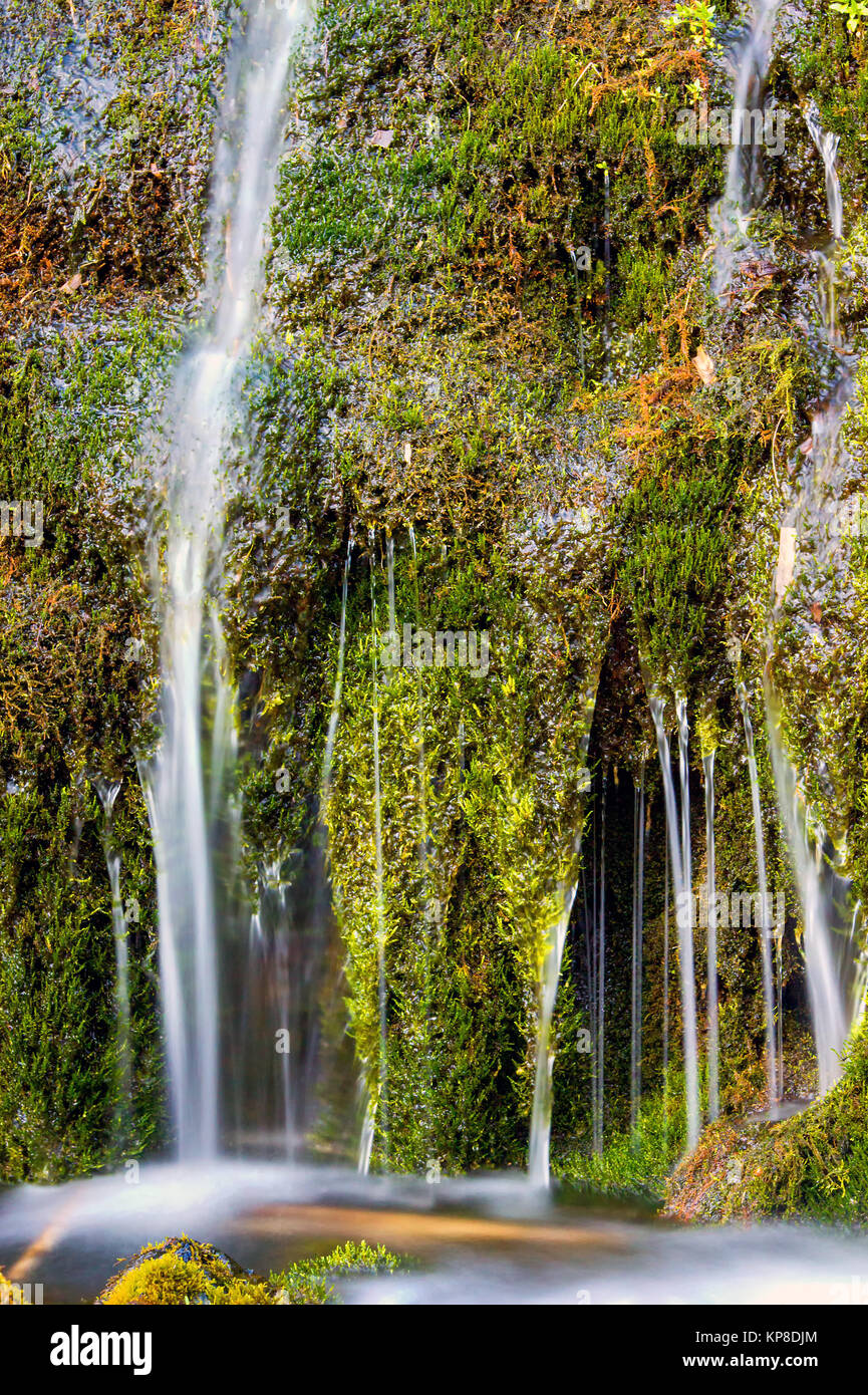 Detail eines kleinen Wasserfalls im Gjain Valley in Island Stockfoto