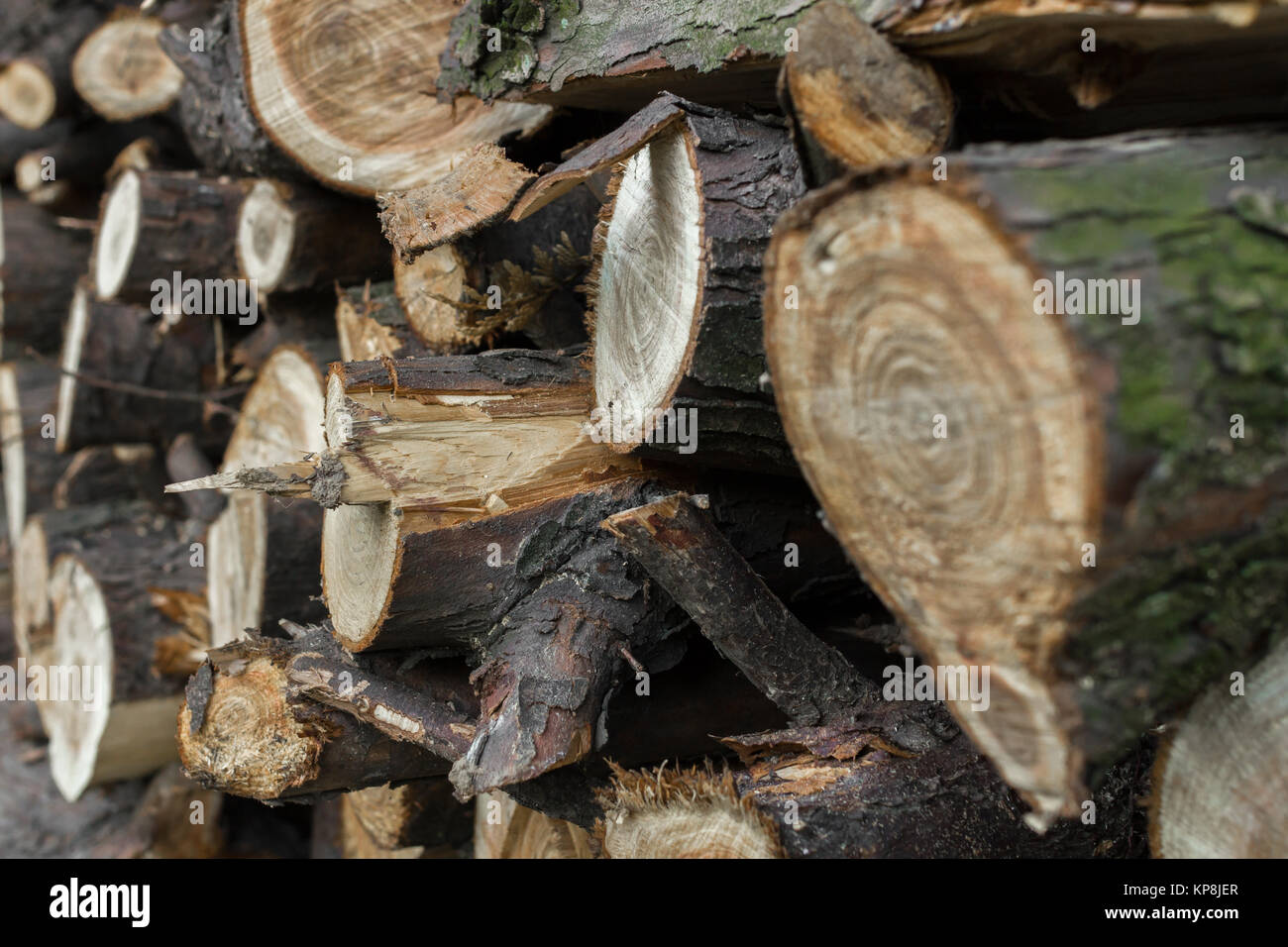Haufen von Brennholz Stockfoto