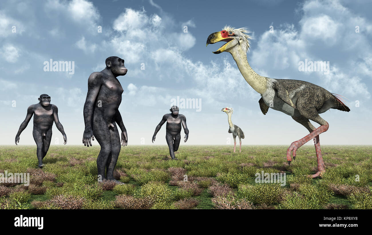 Homo Habilis und der Terrorvogel Phorusrhacos Stockfoto