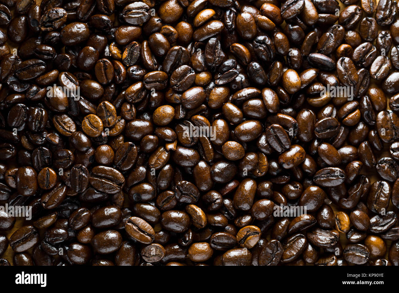 Kaffeebohne Stockfoto