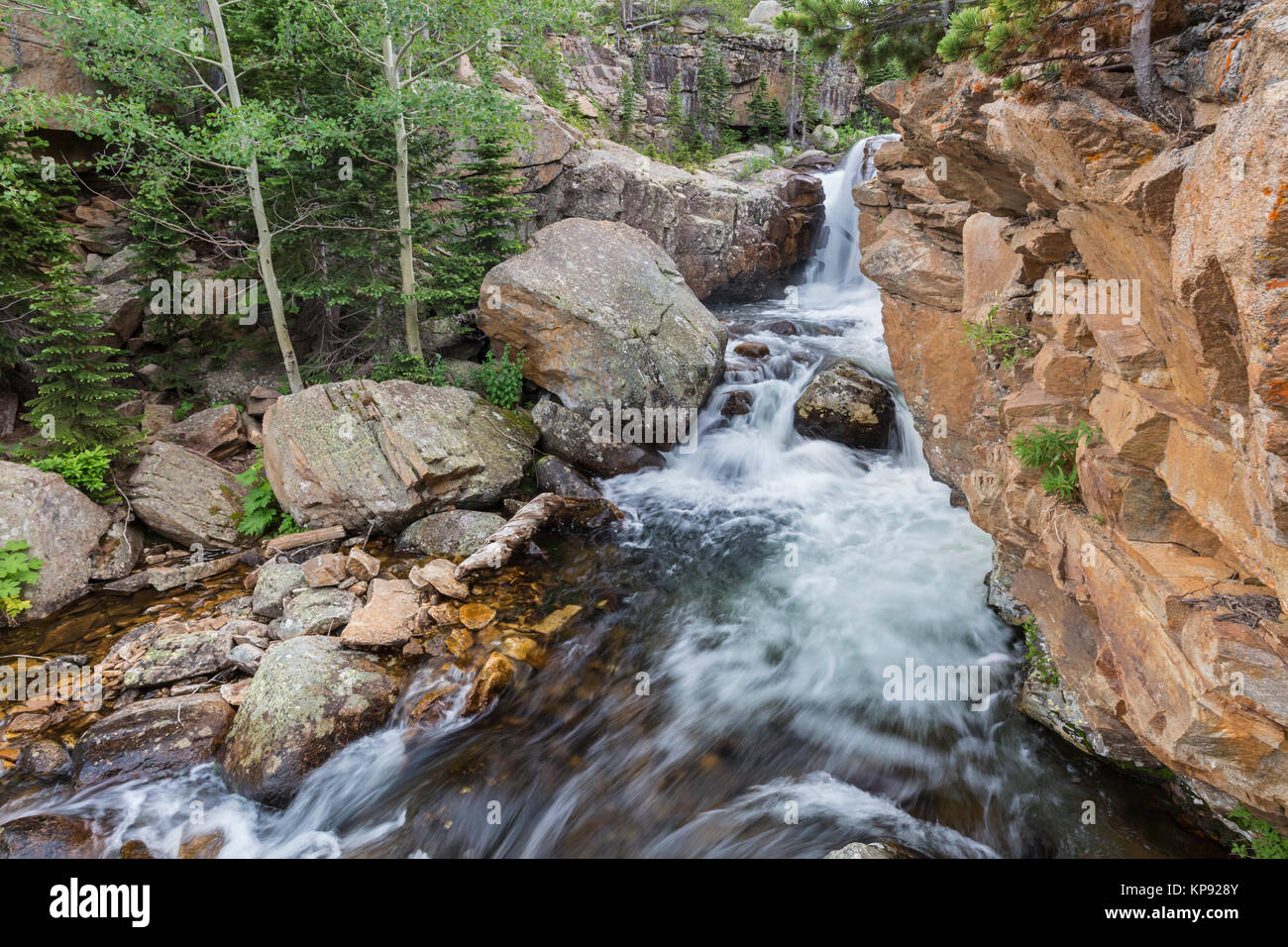 Eine kleine Wasserfälle in einem Abgrund auf Glacier Creek über Alberta fällt im Rocky Mountain National Park, Colorado Stockfoto