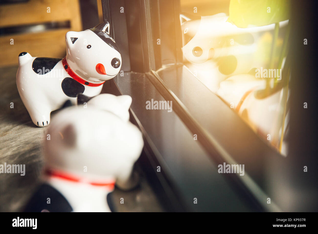 Glückliches lächeln Hund Puppe suchen Bei Windows mit Sun Light Stockfoto