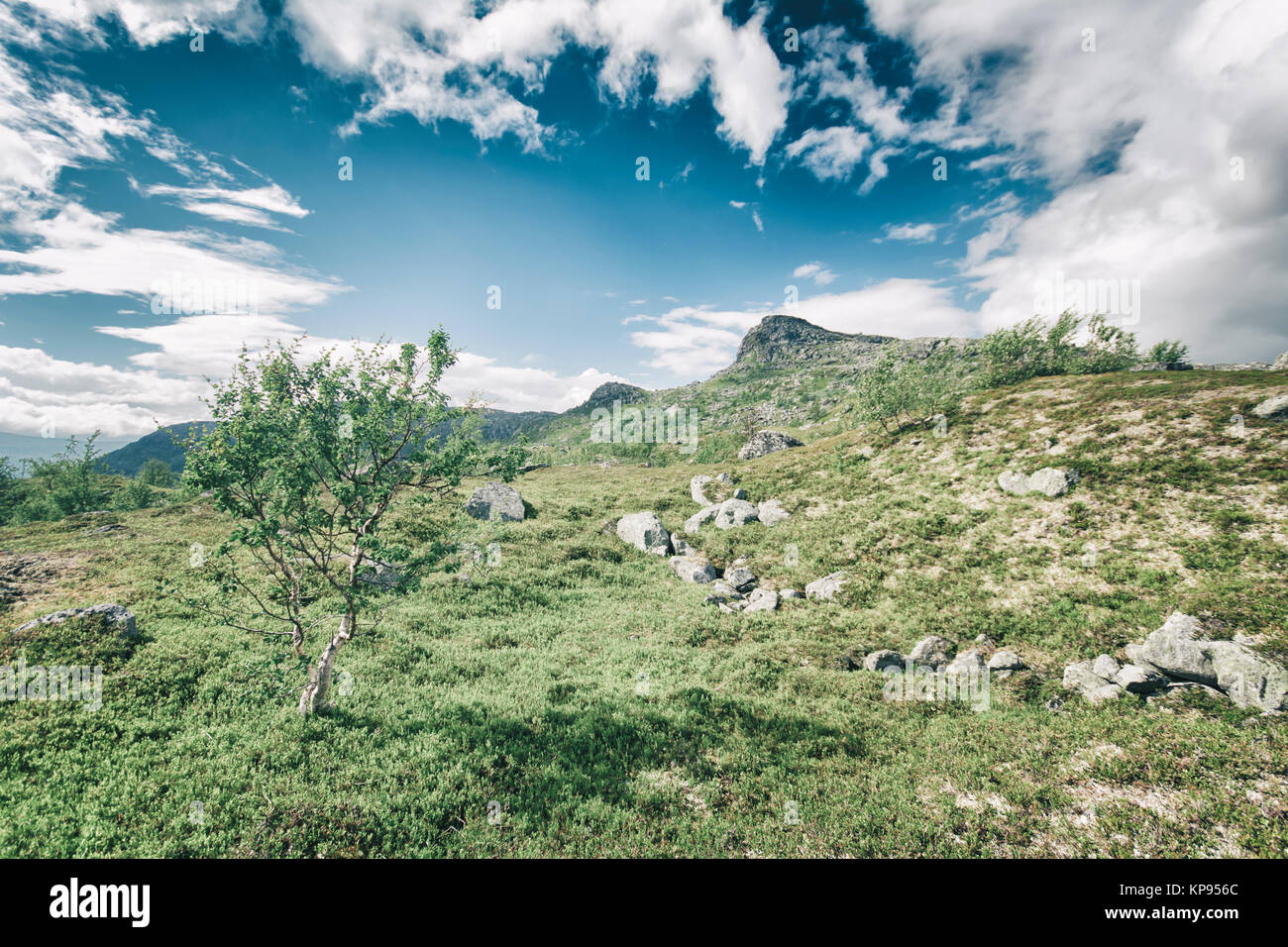 Die Landschaft in Lappland, Schweden Stockfoto