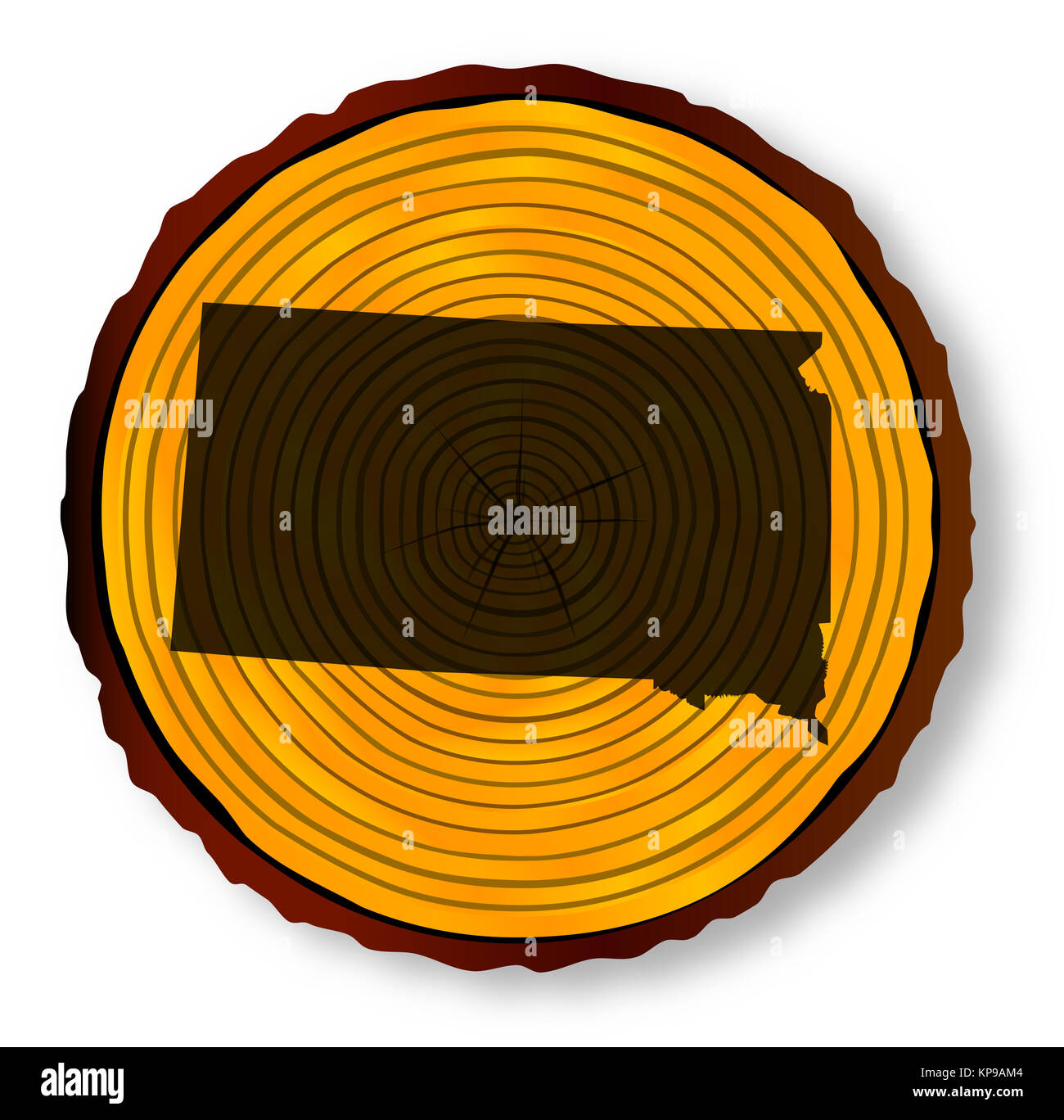 South Dakota Karte auf Holz Stockfoto