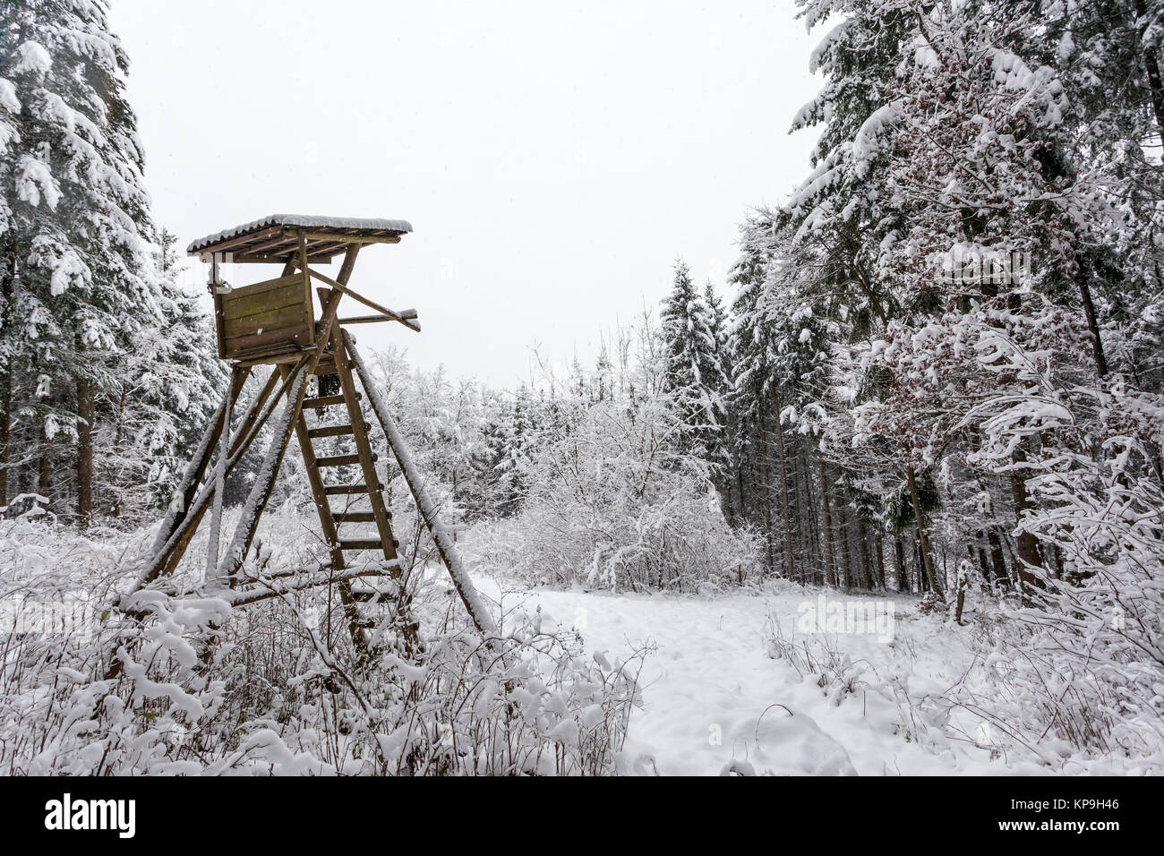 Holz- Jagd ausblenden mit Schnee im Winter Wald bedeckt Stockfoto