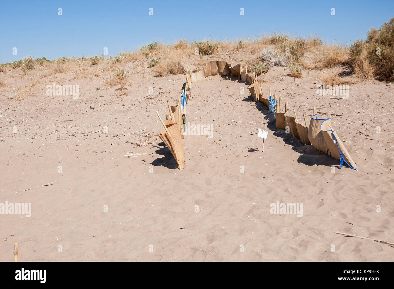 Sea turtle Nistplatz auf Zakynthos Stockfoto