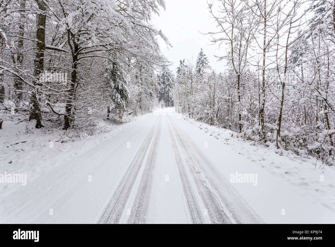 Verschneite Straße in einem Snowy White Winter Forest in Hessen, Deutschland Stockfoto