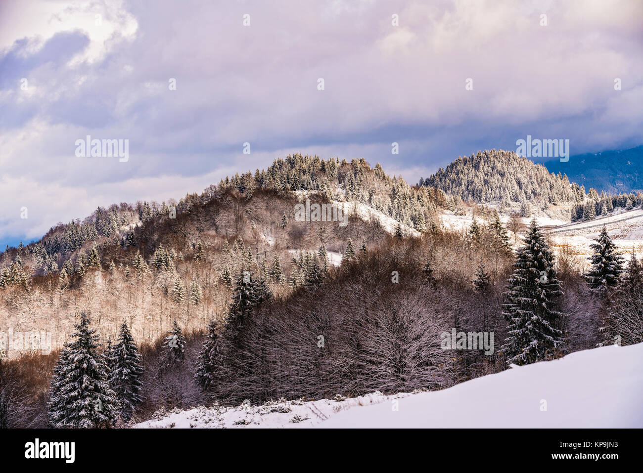 Winterlandschaft mit der Bucegi Gebirge in Rumänien Stockfoto