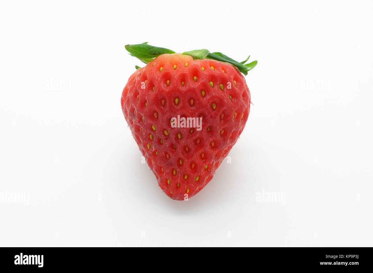 Koreanische Erdbeere Stockfoto