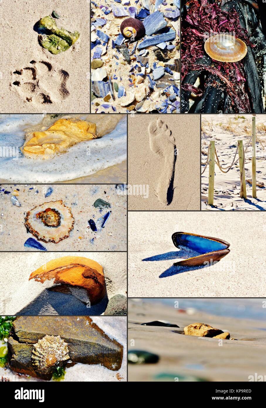 Collage von Strandfunden Stockfoto