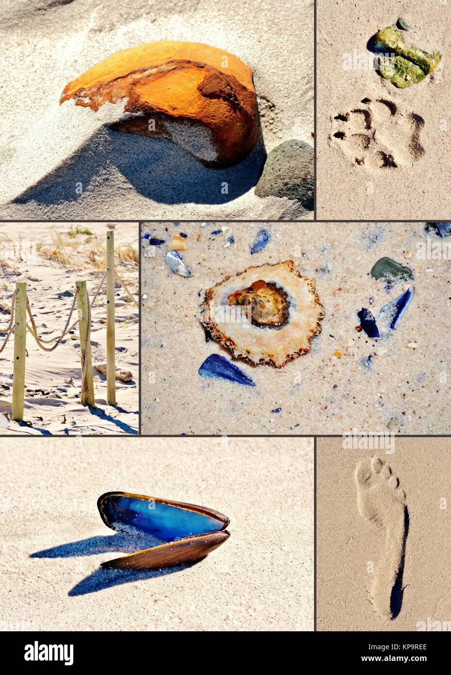 Collage von Strandfunden Stockfoto