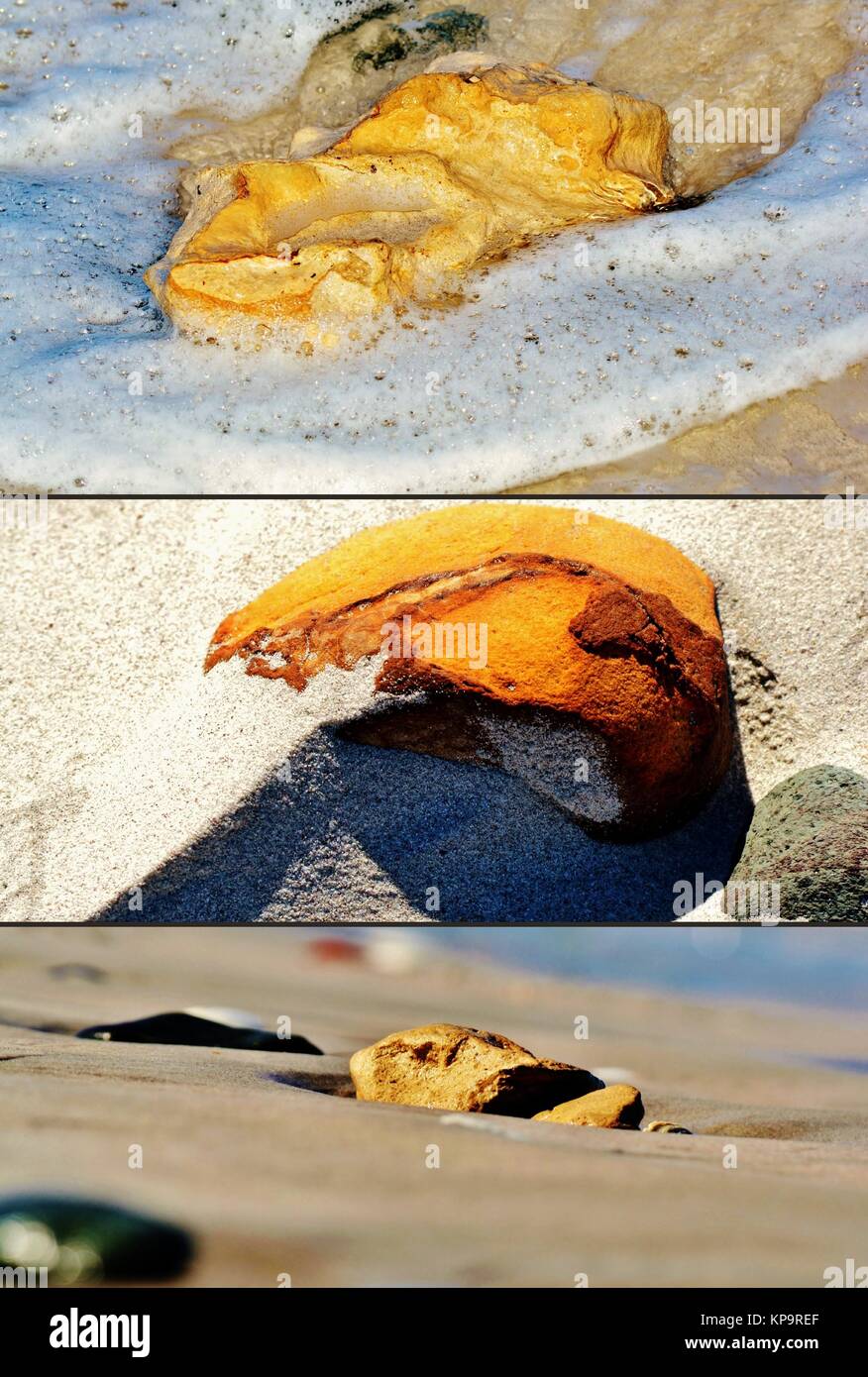 Collage von Strandfunden Stockfoto