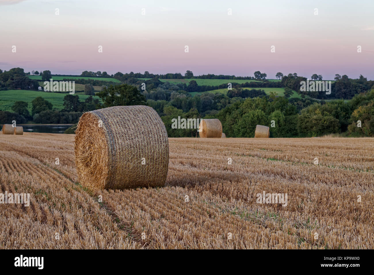 Spätsommer Sonnenuntergang über Feld mit Strohballen Stockfoto