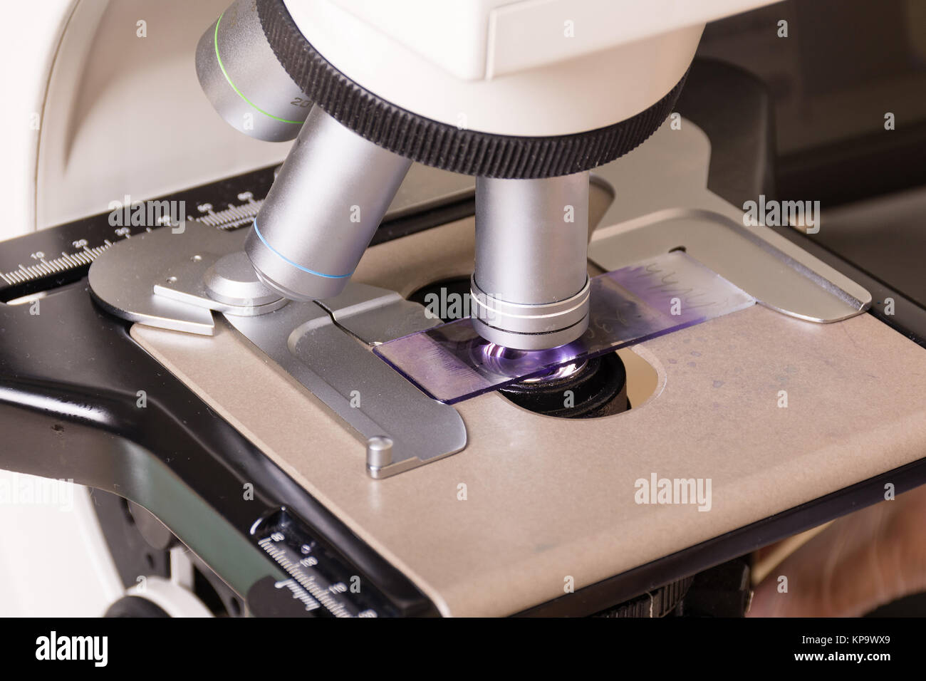 Medizinische oder wissenschaftliche Forscher unter Verwendung eines Mikroskops in Laborumgebung mit Reagenzgläsern und Ausrüstung Stockfoto