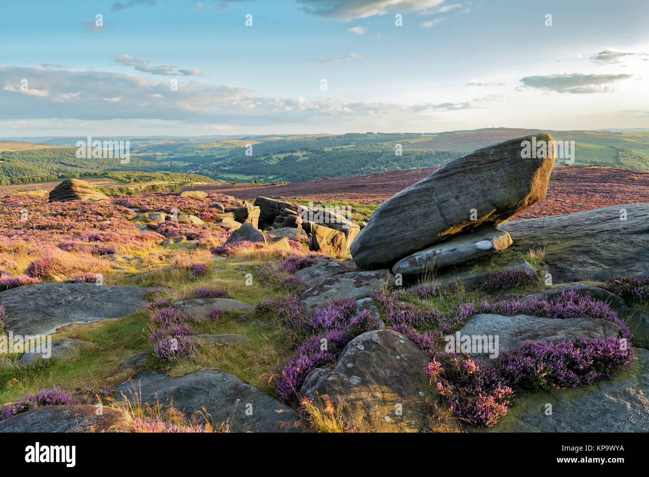 Sonnenuntergang über die Mauren mit Heather in voller Blüte Stockfoto