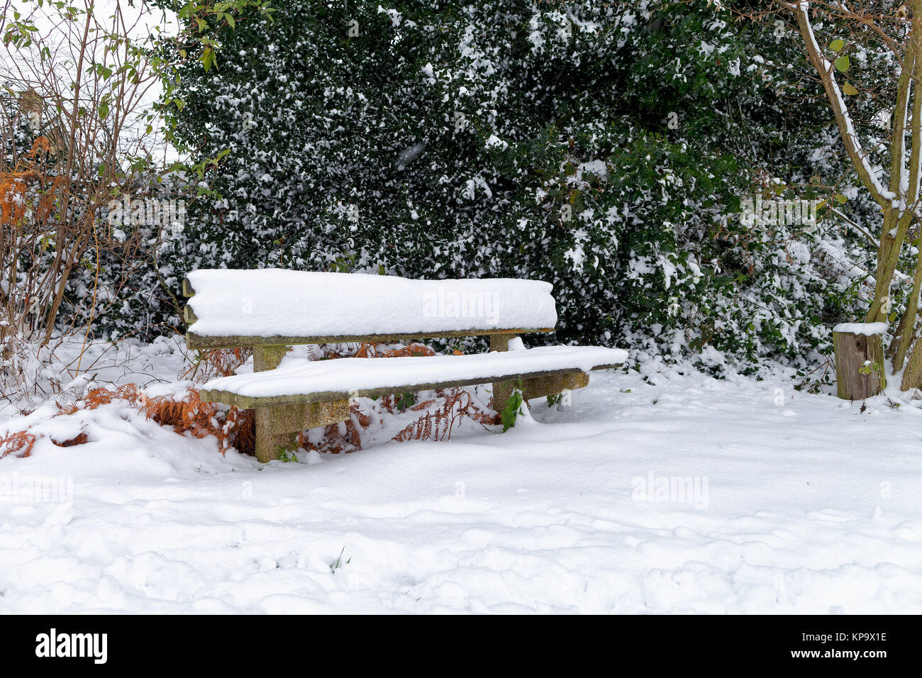 Holzbank in frischem Schnee mit Bäumen im Hintergrund Stockfoto