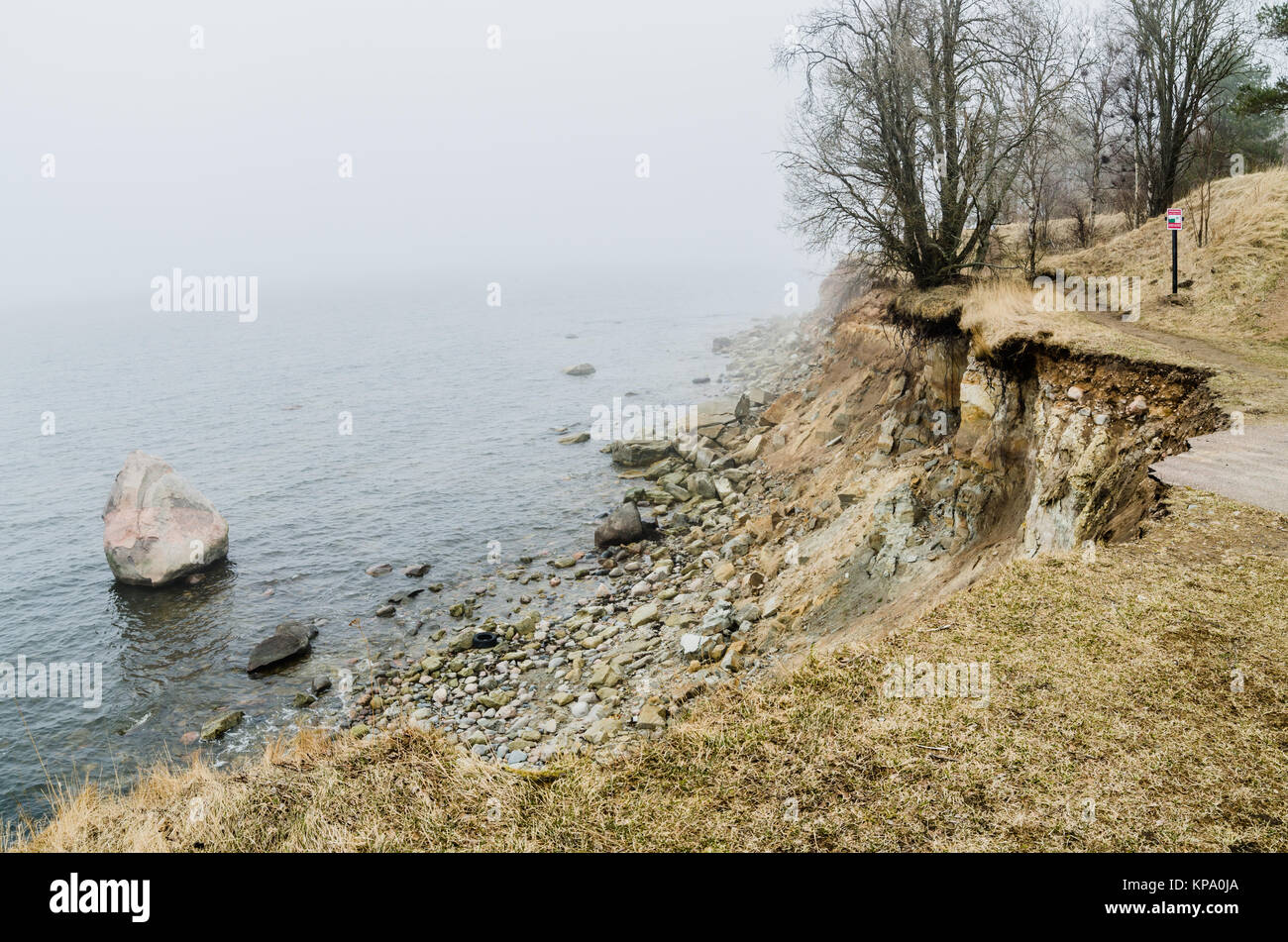 Estnische Kalkstein Nordufer im Nebel Stockfoto